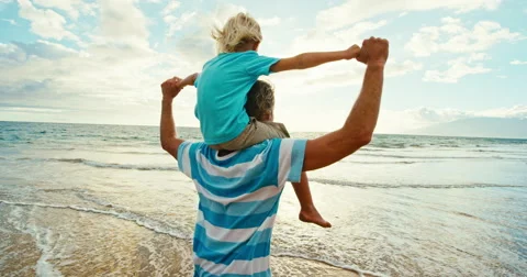 Father Son Having Fun Stock Footage 66062396