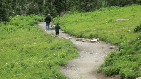 Father Son hike mountain trail P HD 0608 Stock Footage 10594494