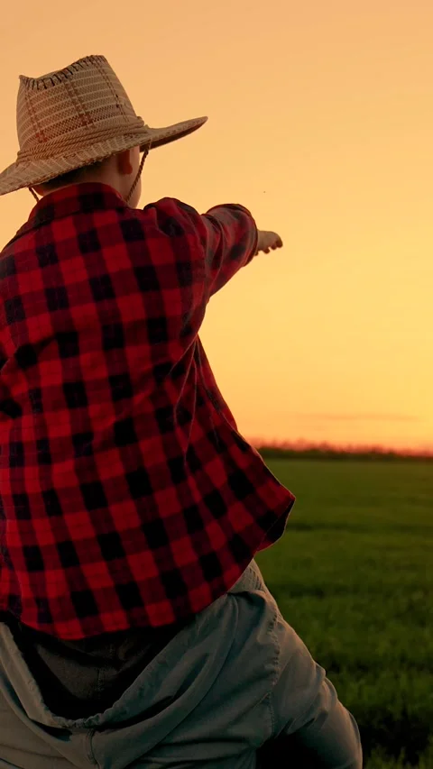 Father, son kid points hand at sunset. Child boy in hat sits on father's Stock Footage 306248210