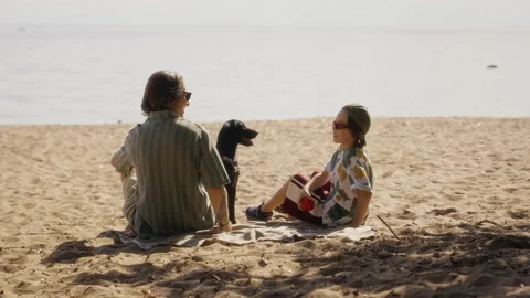 Father with Son Sitting on Beach Playing Ball with Pet Dog Stock Footage 340252813