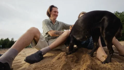 Father with Son Sitting on Beach Watching Pet Dog Digging Sand Stock Footage 340256512