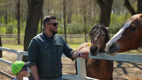 A father spends the weekend with his son at a horse farm Stock Footage 241944912