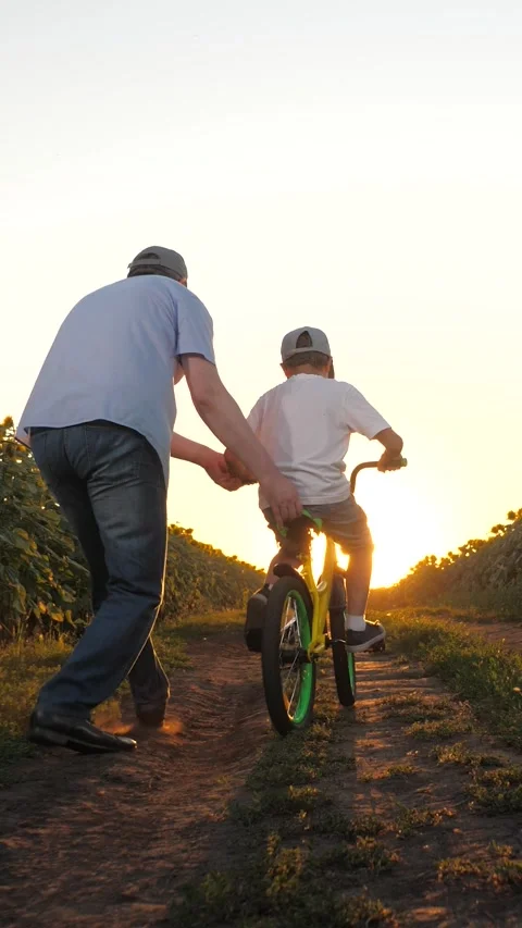 Father teaching little son riding on bike at sunset sunflower field back view Stock Footage 282056366