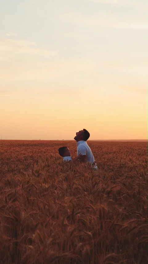 Father throwing son into the air at sunset in wheat field Stock Footage 345715939