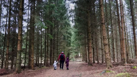 Father walking with children in forest path 库存影片 169293559