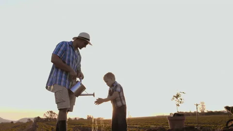 Father washing sons hands while planting a tree. Sunrise. Silhouette. Spring. Stockbeeldmateriaal 199631736