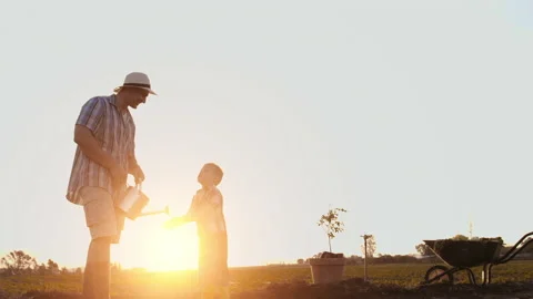 Father washing sons hands while planting a tree. Sunrise. Silhouette. Spring. Stock Footage 199631743