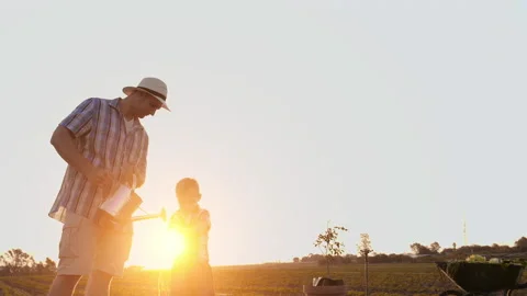 Father washing sons hands while planting a tree. Sunrise. Silhouette. Spring. Stock-Footage 199631749