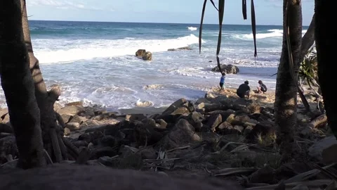 Father's Day Stock Footage 153191049