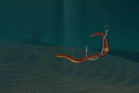 Fathers Trout Stock Footage 335047