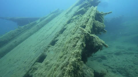 Fathom Five Marine Park, James C King shipwreck, boards along the deck Stock Footage 311948957