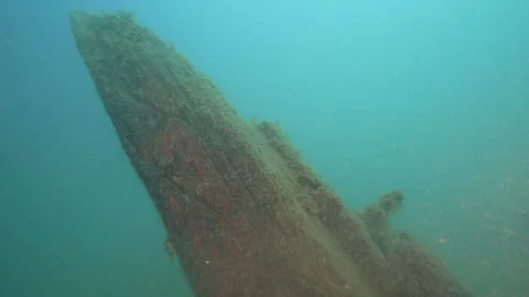 Fathom Five Marine Park, King Shipwreck, bow markers Stock Footage 312949560