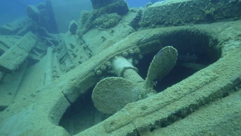 Fathom Five National Park - Caroline Rose Shipwreck, propeller Tobermory, Canada Stock Footage 311129669
