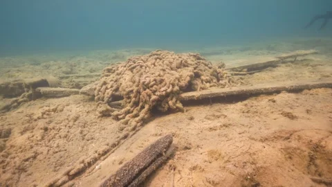 Fathom Five National Park - W.L. Wetmore Shipwreck Tobermory, anchor chains Stock Footage 253429815