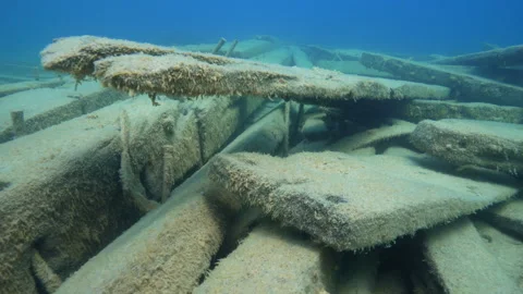 Fathom Five Park, Parks Canada, Wetmore Shipwreck, deck boards Stock Footage 312991881