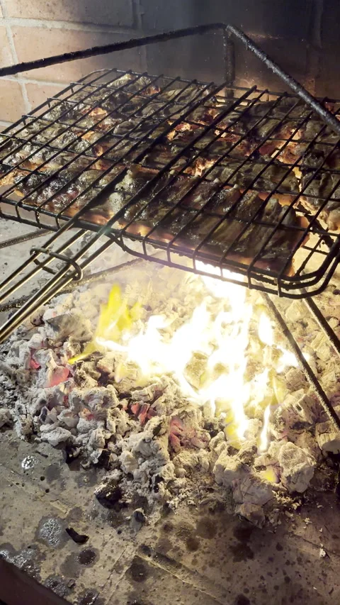 Fatty chops ignite hot coals of fire during barbecue in South Africa Stock Footage 345263523