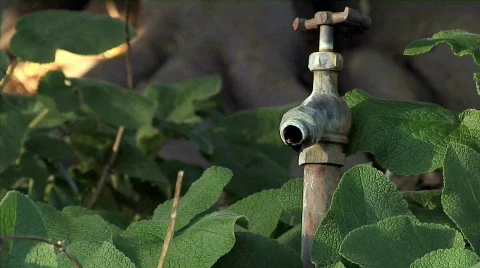 Faucet 01 Stock Footage 330668