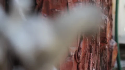 Faucet dripping water drops Stock-Footage 67728730