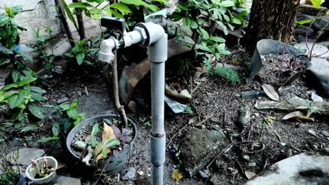 Faucet Stock Footage 204921061