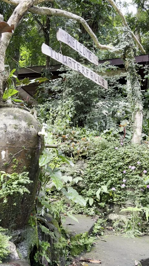 The Faucet 库存影片 253611579