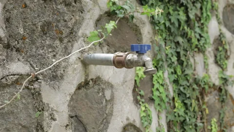 A faucet on a stone wall, surrounded by nature Vídeo Stock 332686228