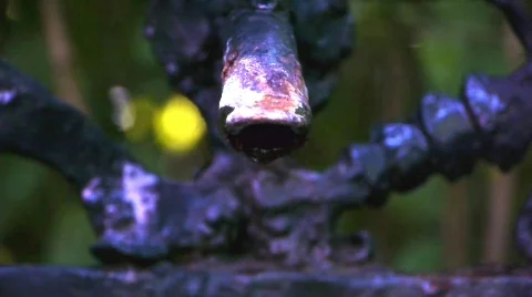 Faucet, Tap Stock Footage 774740