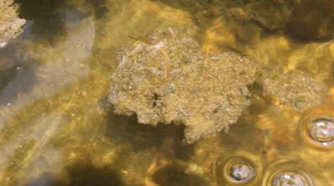 Faucet water flow stream consumption 7125 Stock Footage 26616478