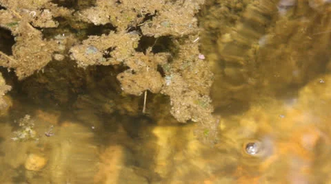 Faucet water flow stream consumption 7124 Stock Footage 26616512