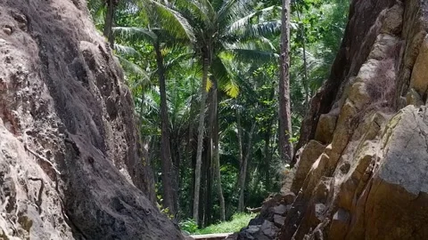 A fault in the rock through which a mountain river flows Stock Footage 267072174