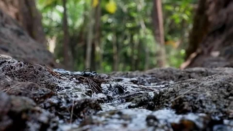 A fault in the rock through which a mountain river flows Stock Footage 267072187
