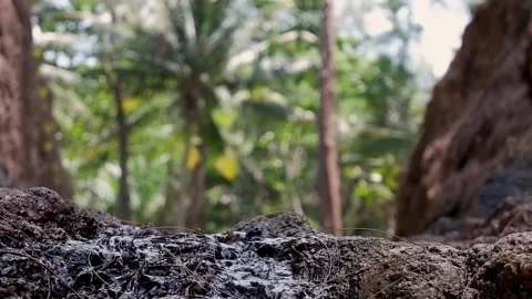 A fault in the rock through which a mountain river flows Stock Footage 267072274