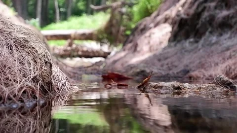 A fault in the rock through which a mountain river flows Stock Footage 267072297