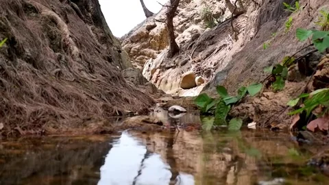A fault in the rock through which a mountain river flows Stock Footage 267072319