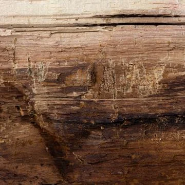 Faults and small cracks in the log, texture for the background. Stock Photos