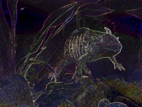Fauna I Foto stock