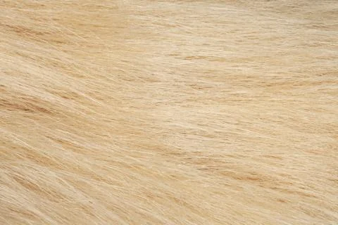 Faux fur texture Stock Photos