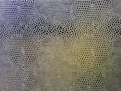 Faux snakeskin texture with intricate patterns creating a striking visual a.. Fotos Stock