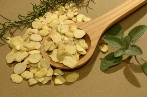 Fava beabs Stockfoto's