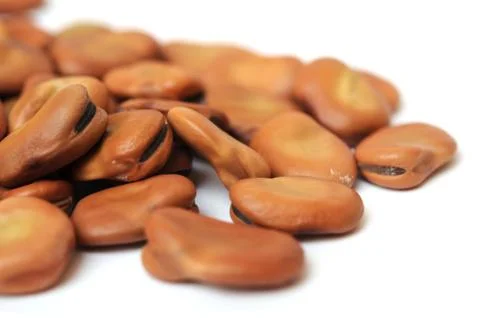 Fava bean Foto stock
