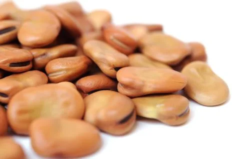 Fava bean Stock Photos