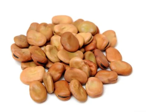 Fava bean Stock Photos