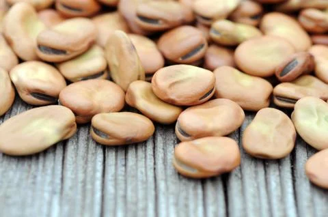 Fava bean Stock Photos