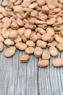 Fava bean Stock Photos