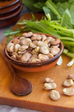 Fava beans and chicory Stock Photos