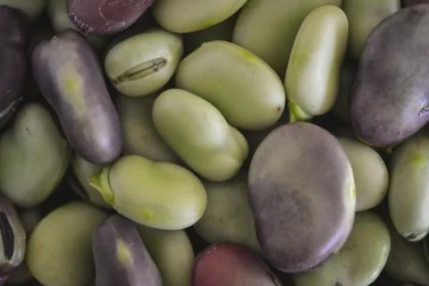 Fava Beans close-up Stock Photos