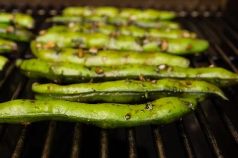 Fava beans grilling or roasting Stock-Fotos