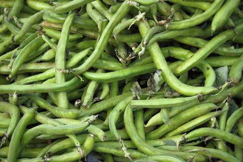 Fava beans Stock Photos