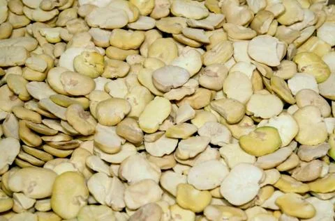 Fava beans 스톡 사진