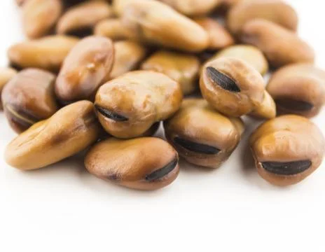 Fava beans Foto stock