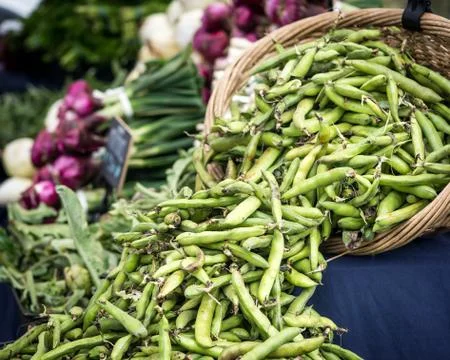 Fava Beans Stock-Fotos